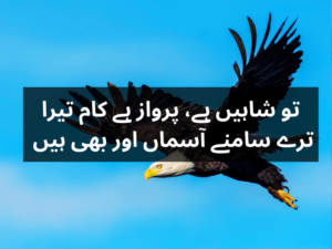 allama iqbal poetry in urdu