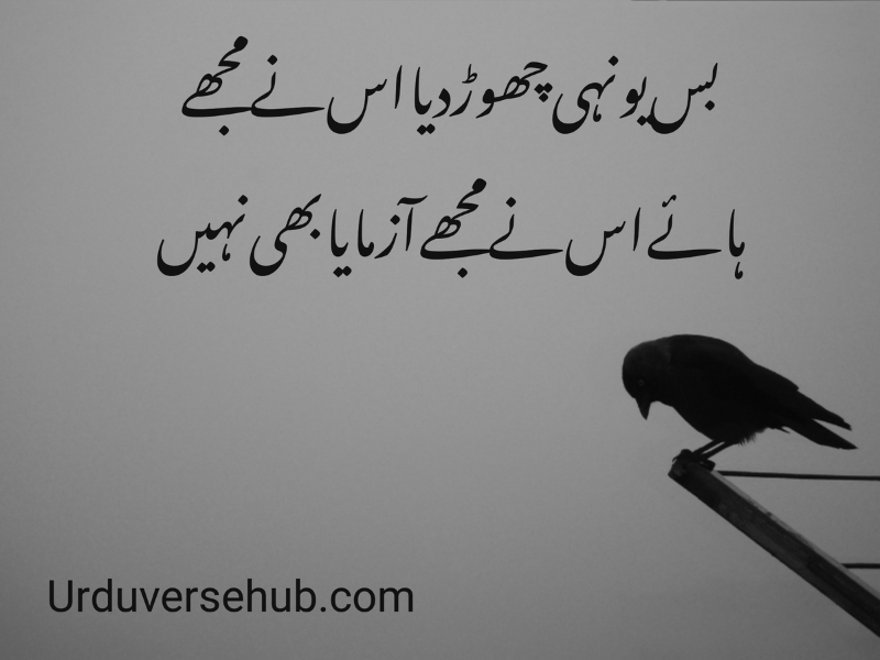 emotional sad quotes in urdu