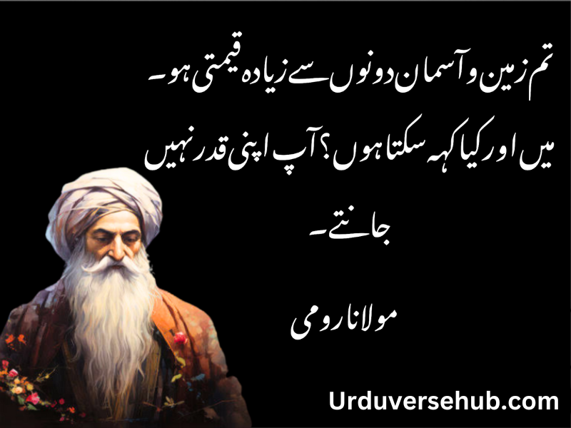 rumi quotes in urdu