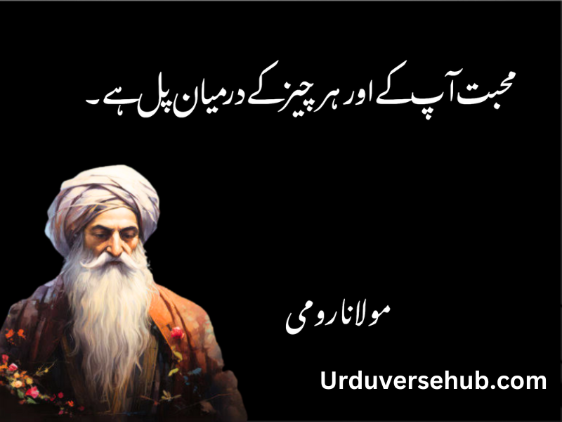 rumi quotes in urdu