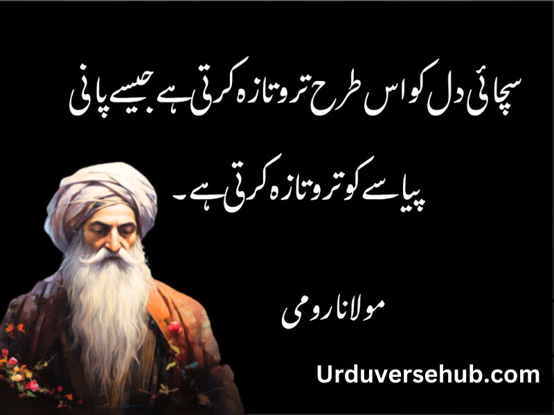 rumi quotes in urdu