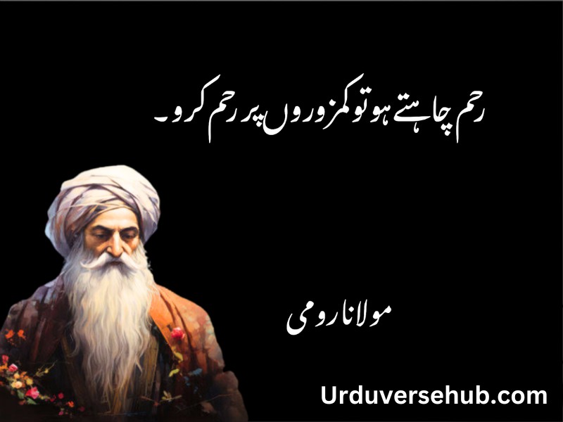 rumi quotes in urdu