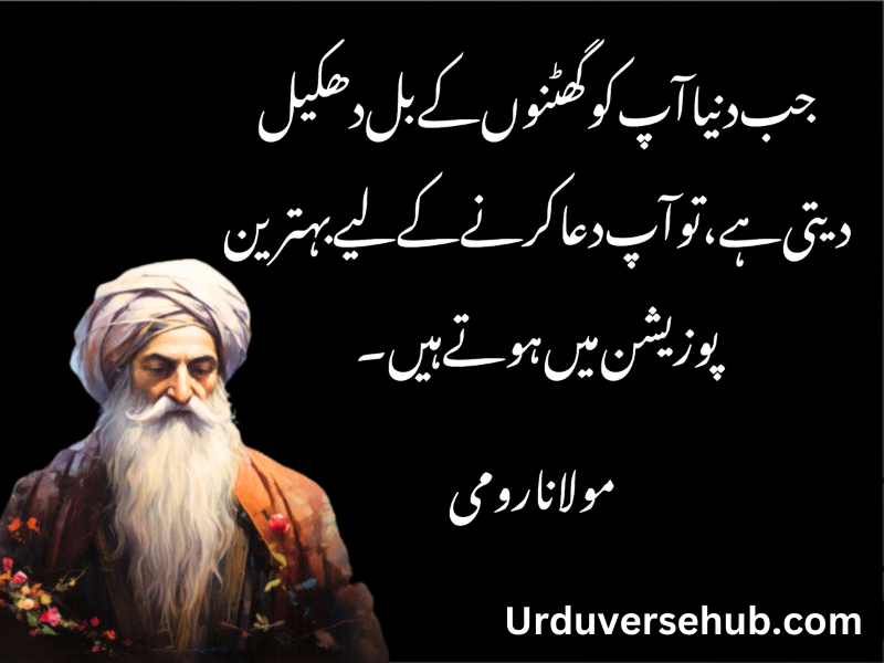 rumi quotes in urdu