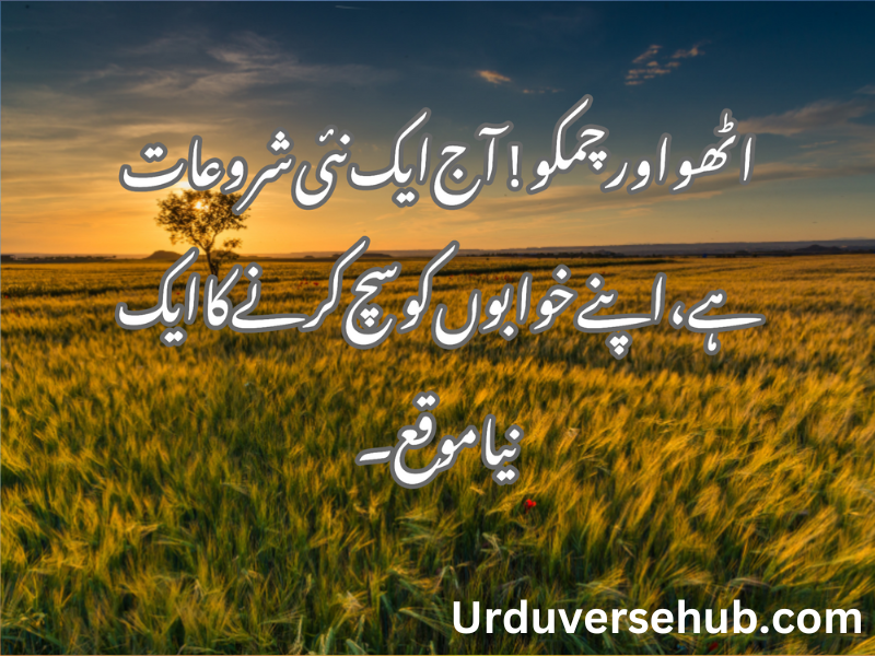 morning quotes in urdu