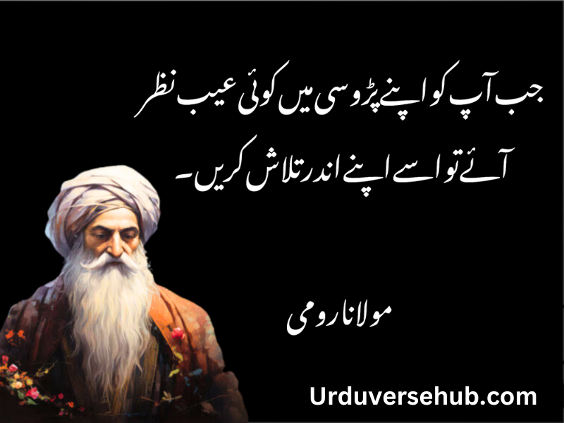 rumi quotes in urdu